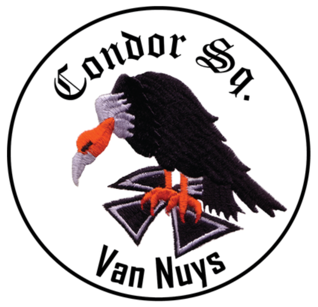 condor squadron logo 1